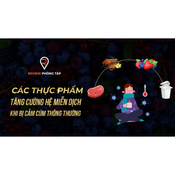 Các Thực Phẩm Tăng Cường Hệ Miễn Dịch Khi Bị Cảm Cúm Thông Thường